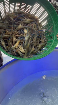 มีทะเลกุ้งเป็น — photo 6