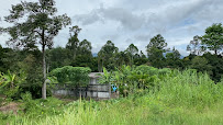 หจก.สามเอ็น พานิช — photo 7
