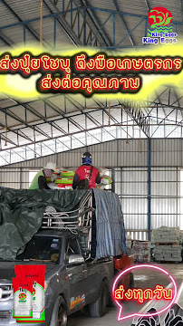 บริษัท คิงส์ เอ็กส์ (ประเทศไทย) จำกัด — photo 6